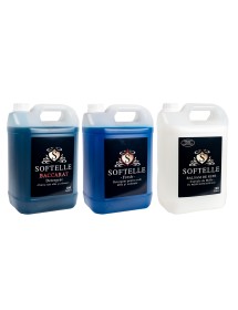 Pachetul cu 1 x 5L Detergent Fresh + 1 x 5L Detergent Baccarat +  1 x 5L...